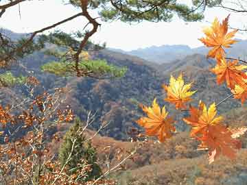 山村翁熄粗大